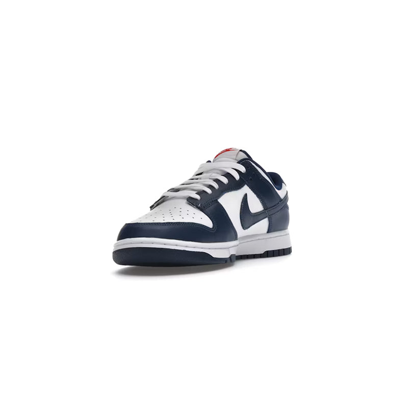 Nike Dunk Low Valerian Blue