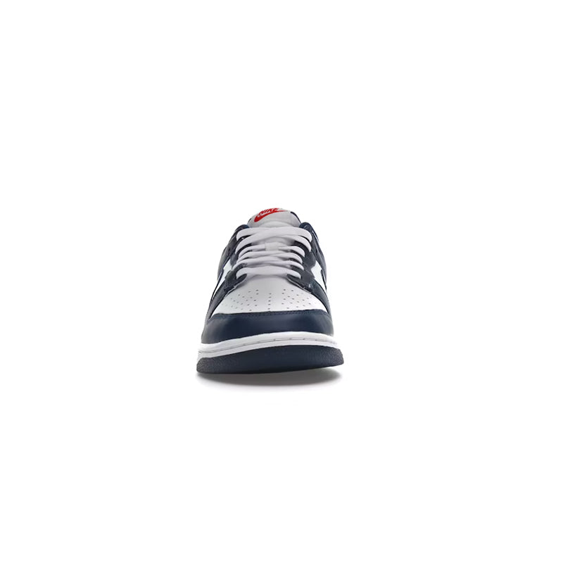 Nike Dunk Low Valerian Blue
