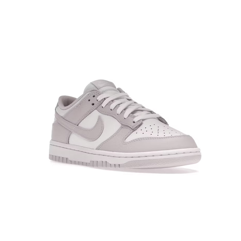 Nike Dunk Low Venice (W)