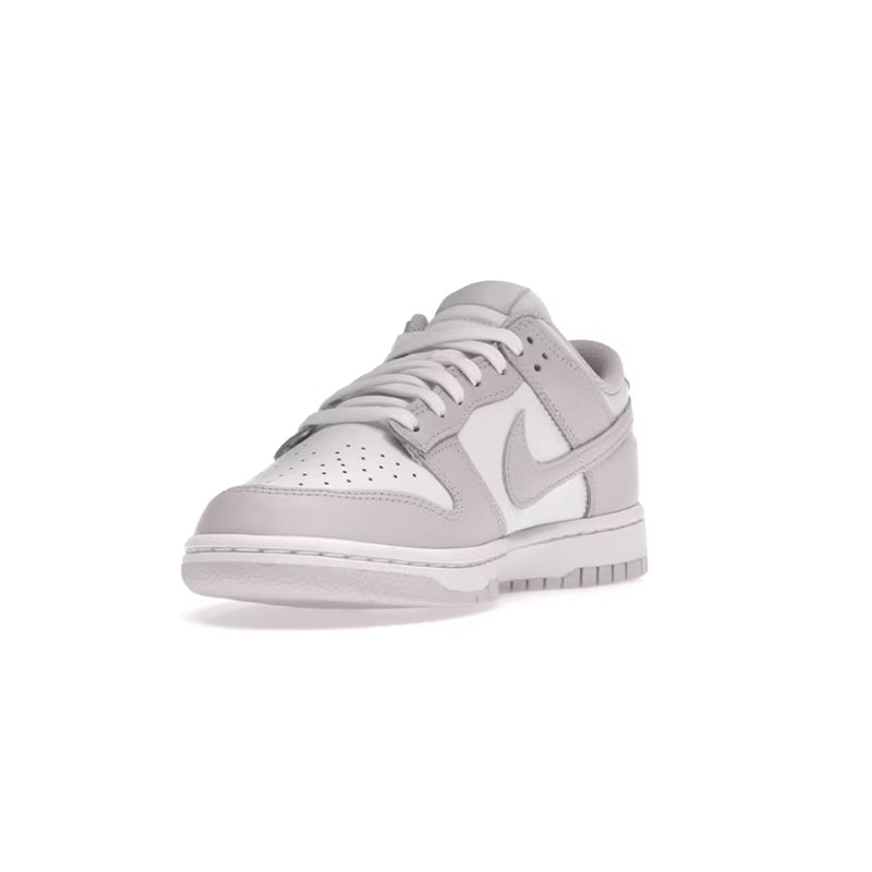 Nike Dunk Low Venice (W)