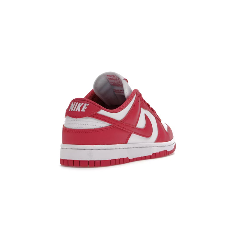 Nike Dunk Low Archeo Pink (W)
