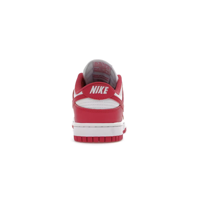 Nike Dunk Low Archeo Pink (W)