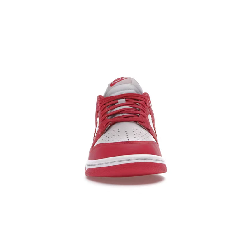 Nike Dunk Low Archeo Pink (W)