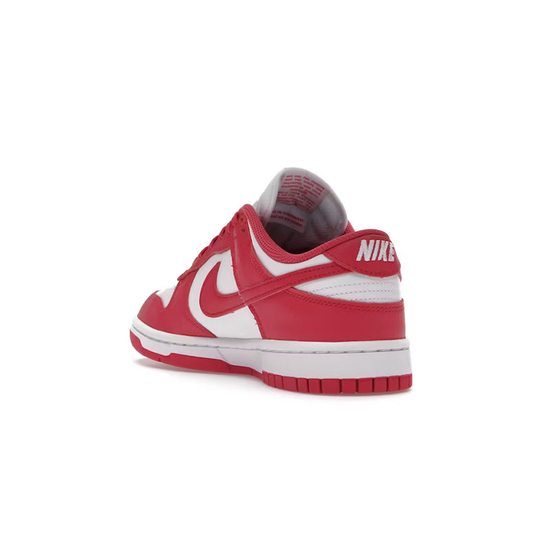 Nike Dunk Low Archeo Pink (W)