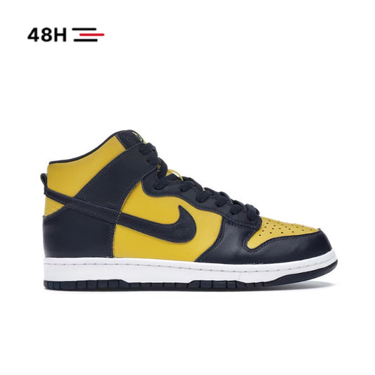 Nike Dunk High Michigan (2020)